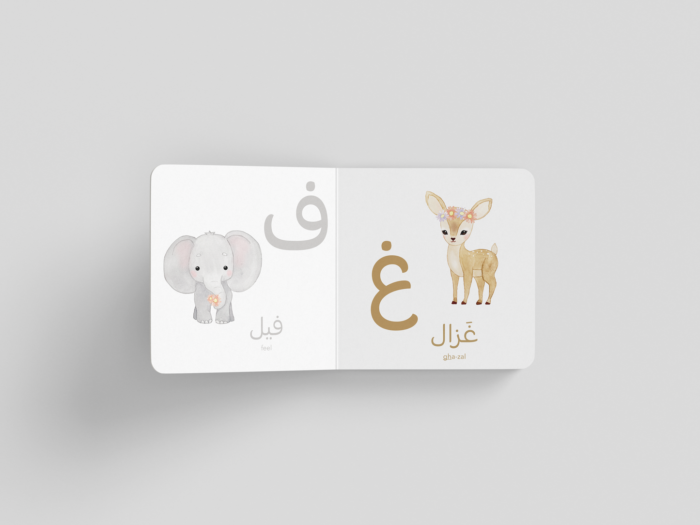 The Arabic Alphabet – My First Words
