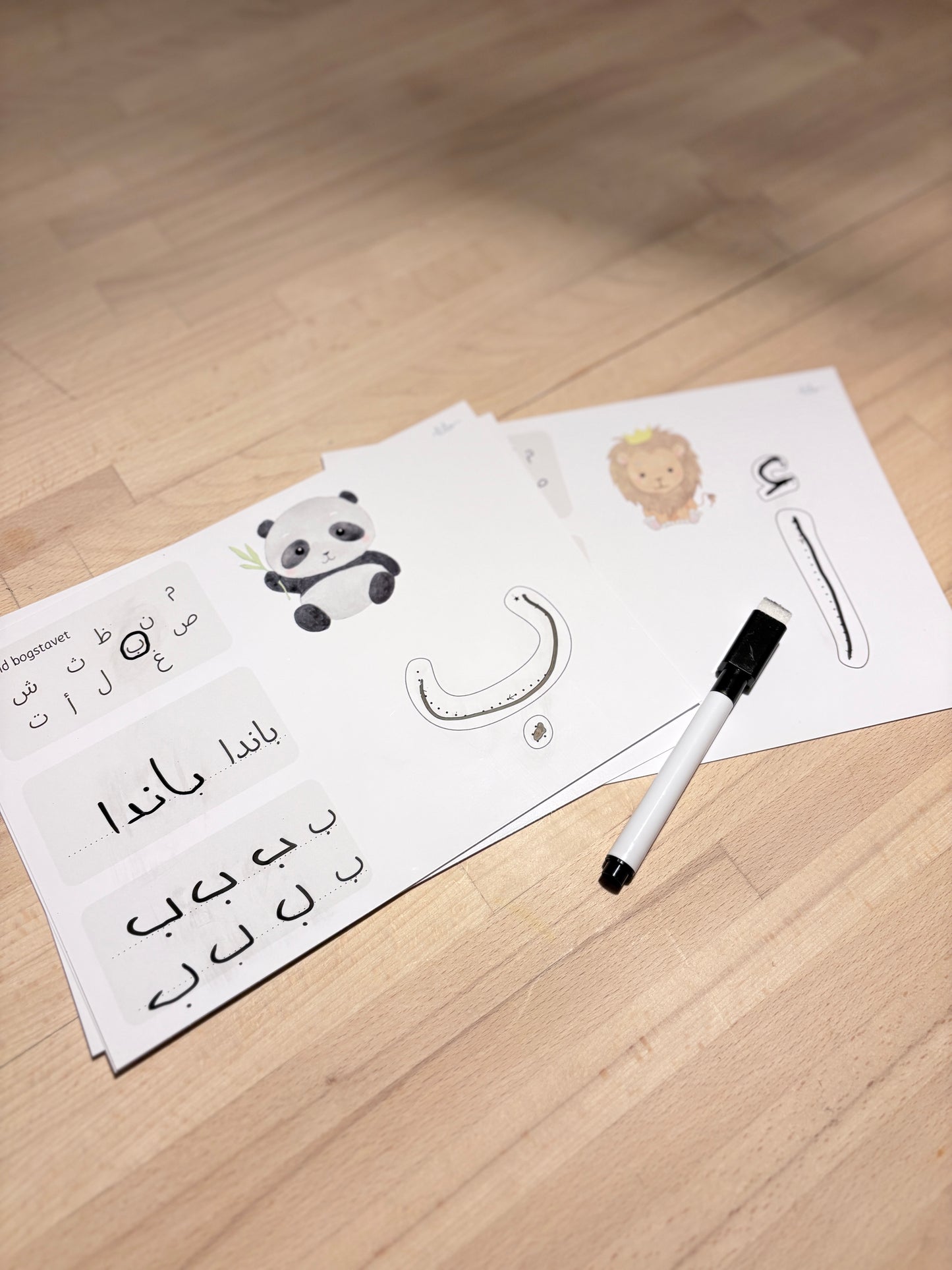 Arabic Alphabet Learning Boards | Reusable Kids Set